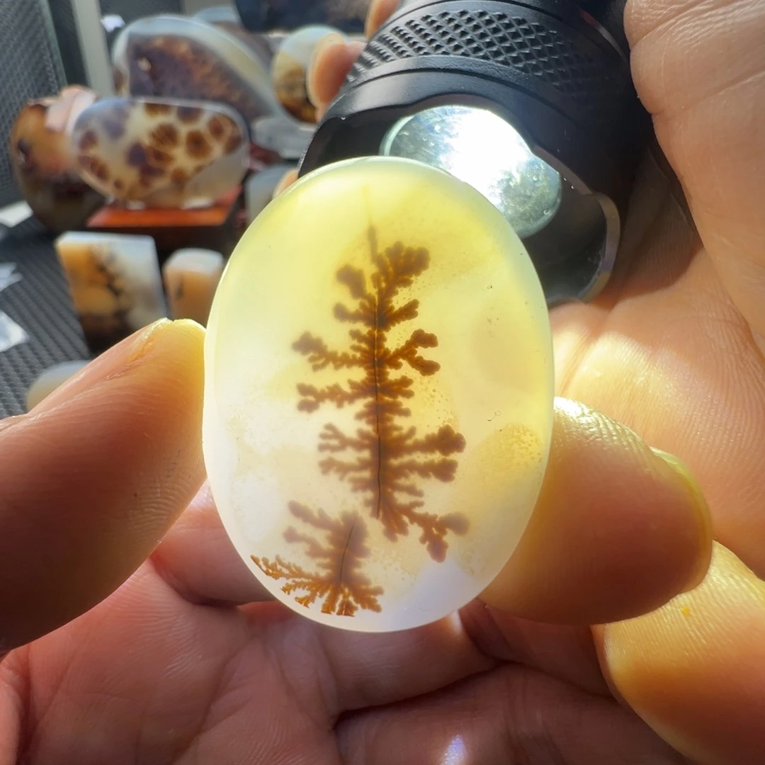 未镶嵌玛瑙/玉髓珠宝奇石