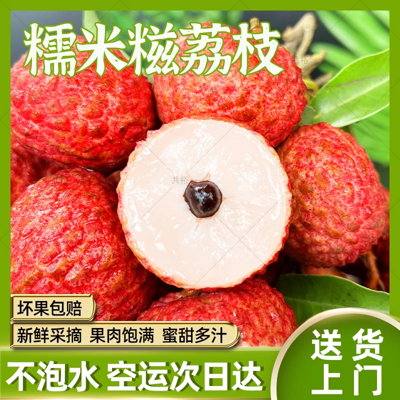 【顺丰次日达】广东糯米糍荔枝增城发货现摘鲜果新鲜带枝不泡水应季水果整箱1/3/5/10斤包邮