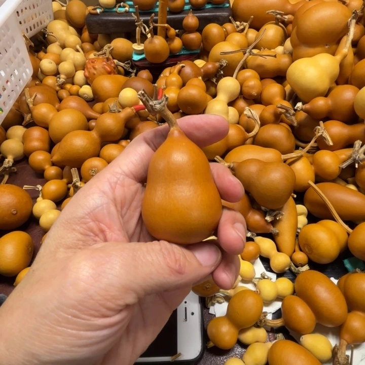 筱*嘟小嘟嘟的一把胖墩葫芦