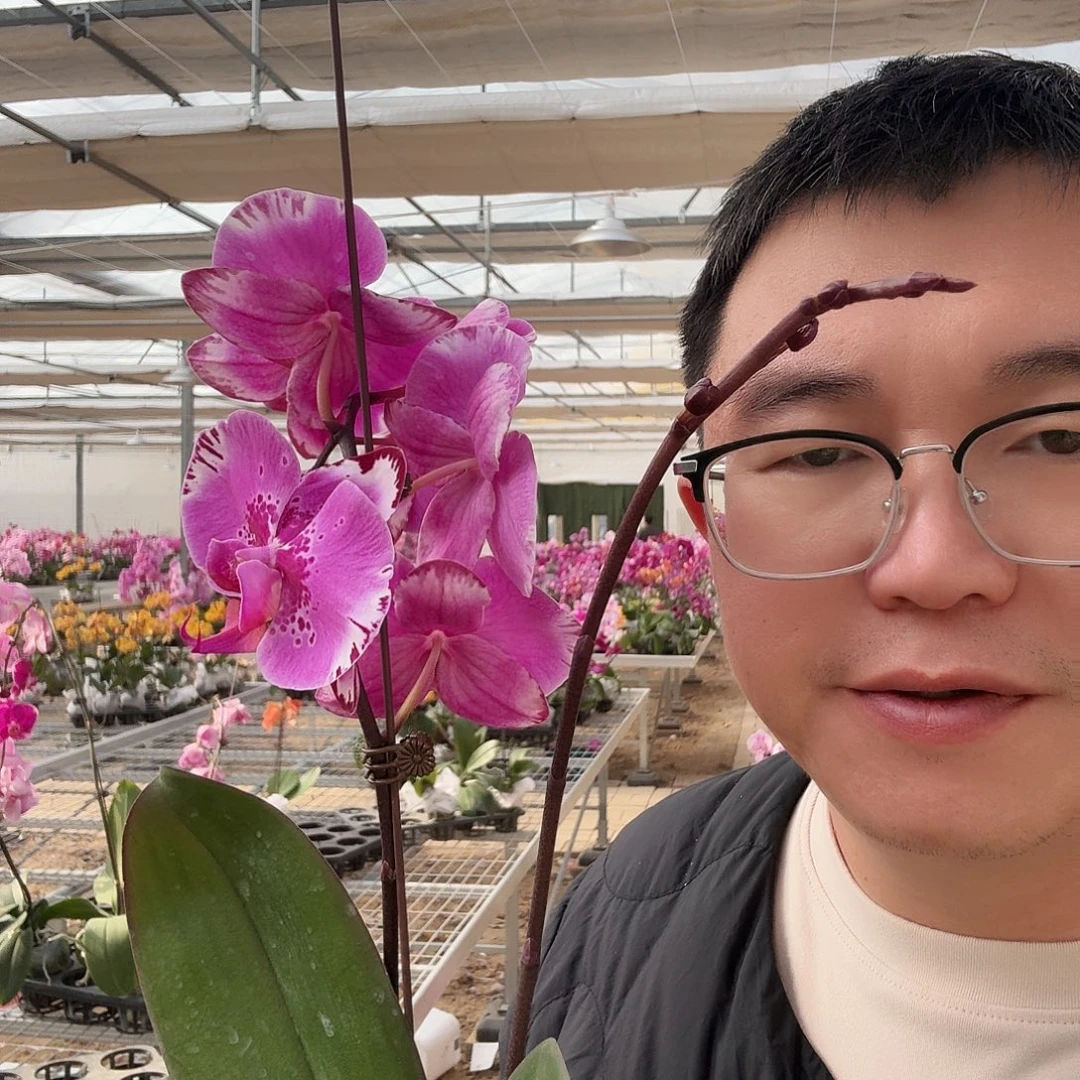 完全开放幻想图双剑3.5