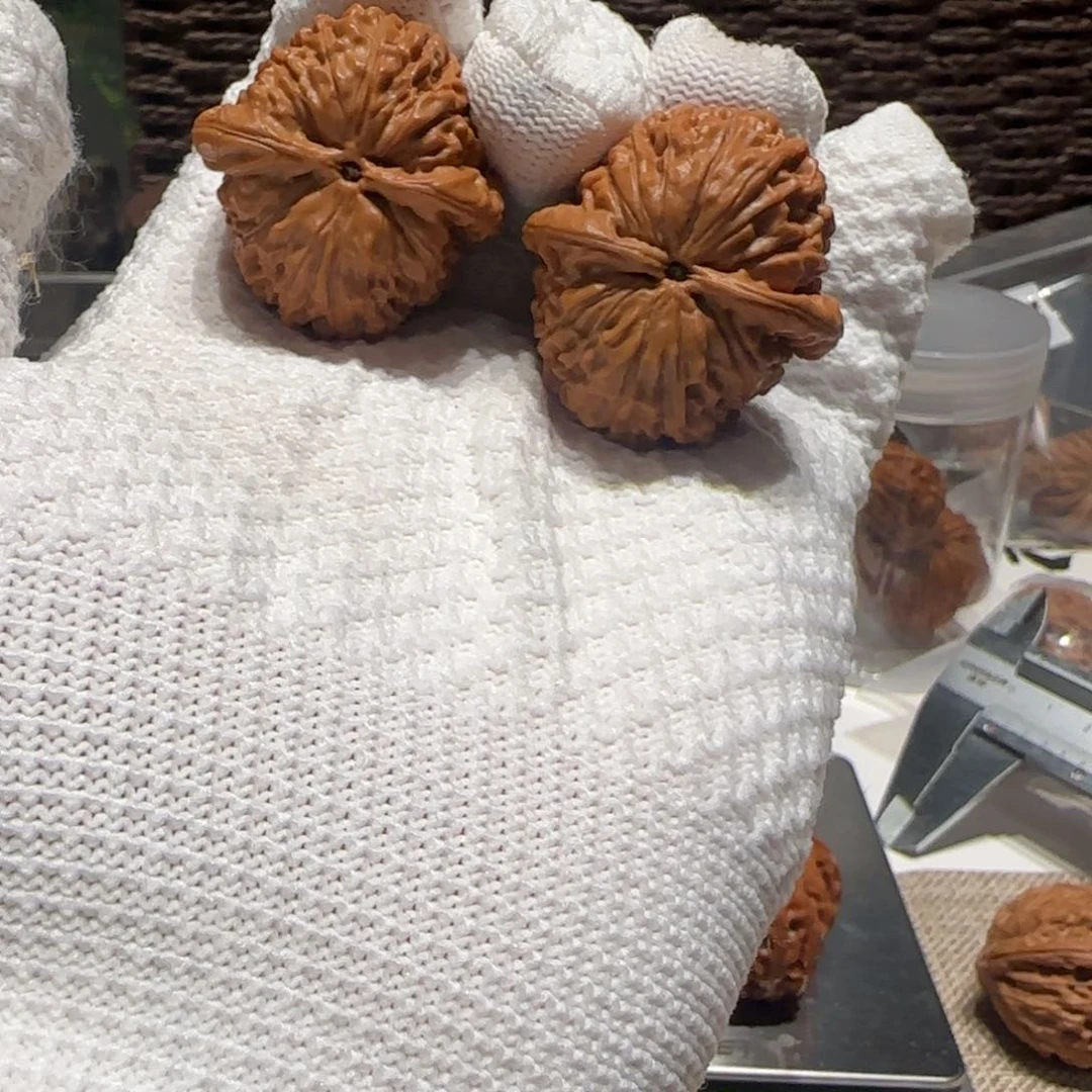 守***福文玩核桃把件莲花