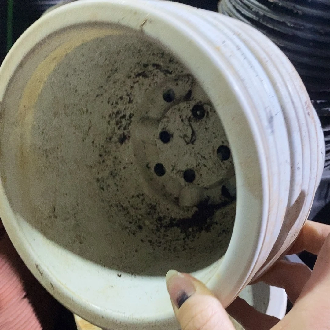 塑料旧19公分左右白圆盆15 个