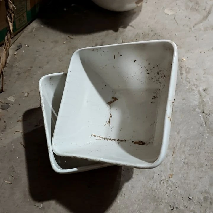 悠***扬瓷片陶瓷盘子碗啥都有