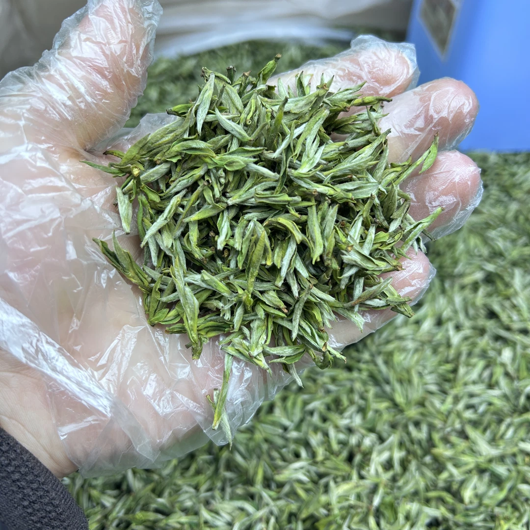 2025年新茶明前毛峰