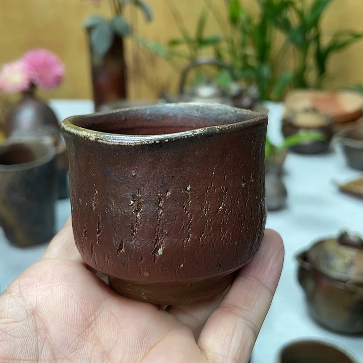 岩本修一的主人杯
