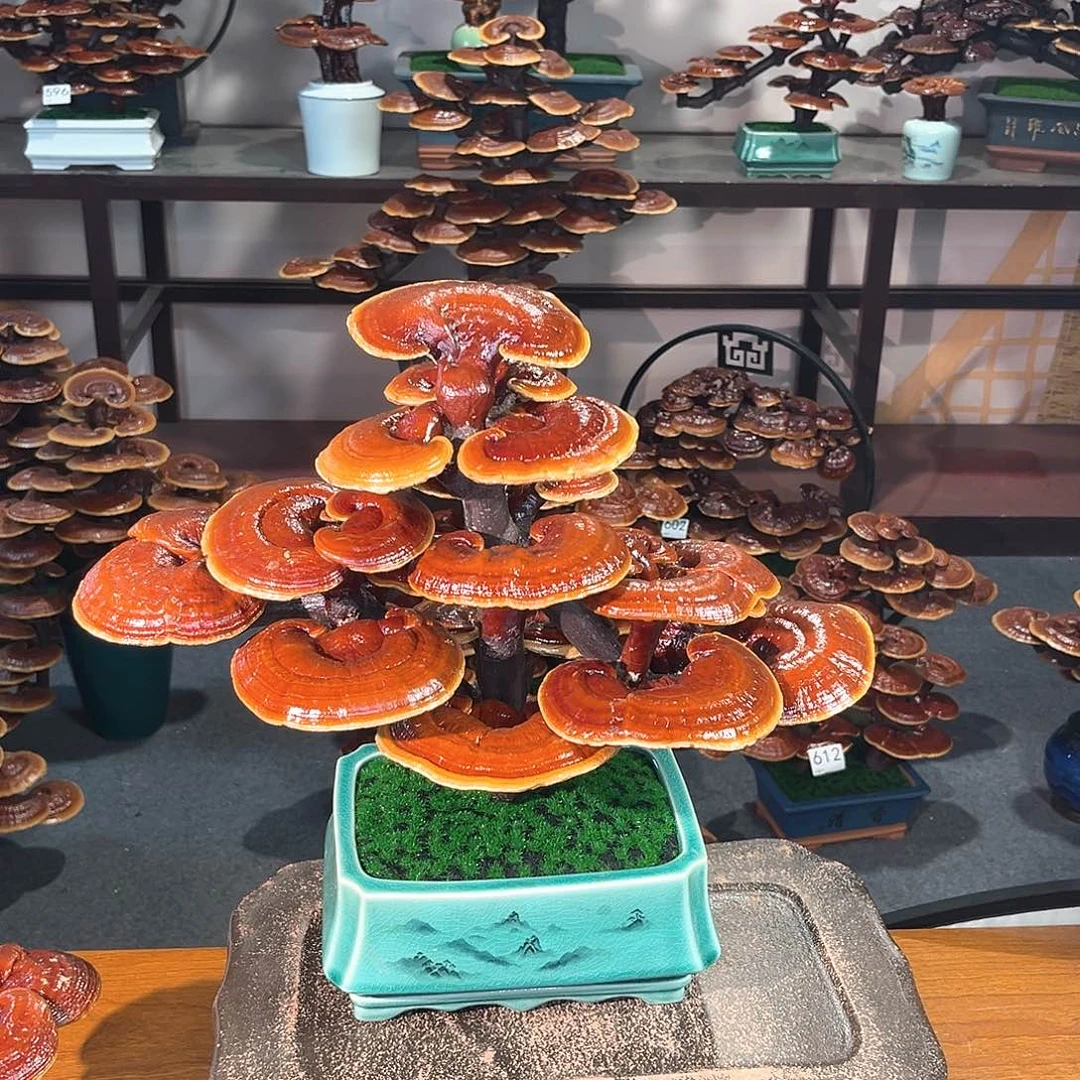 无花朵万事如意8888888888888888