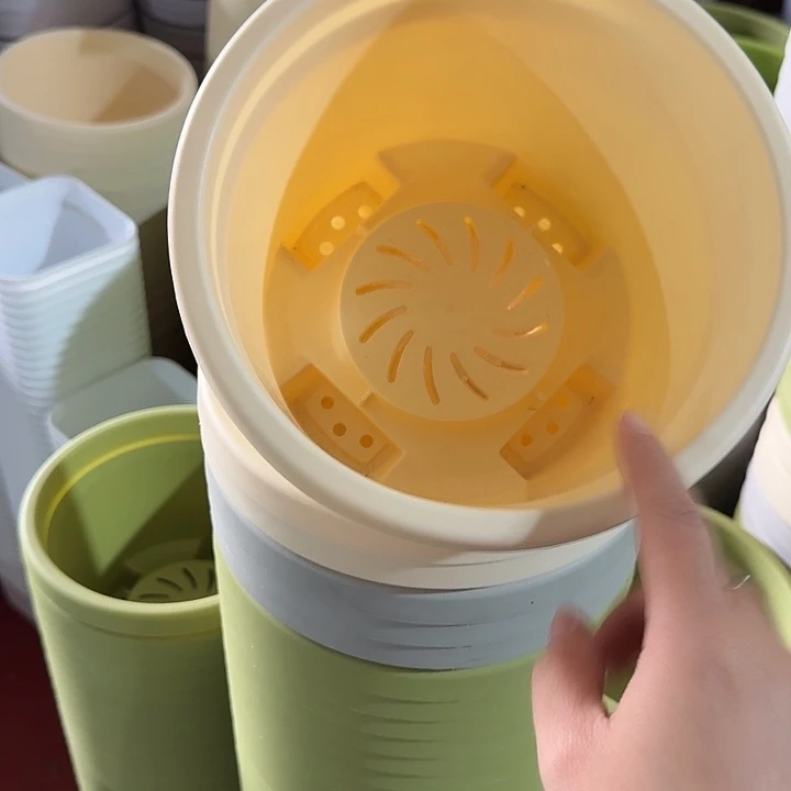 球根21口径6个无托米黄