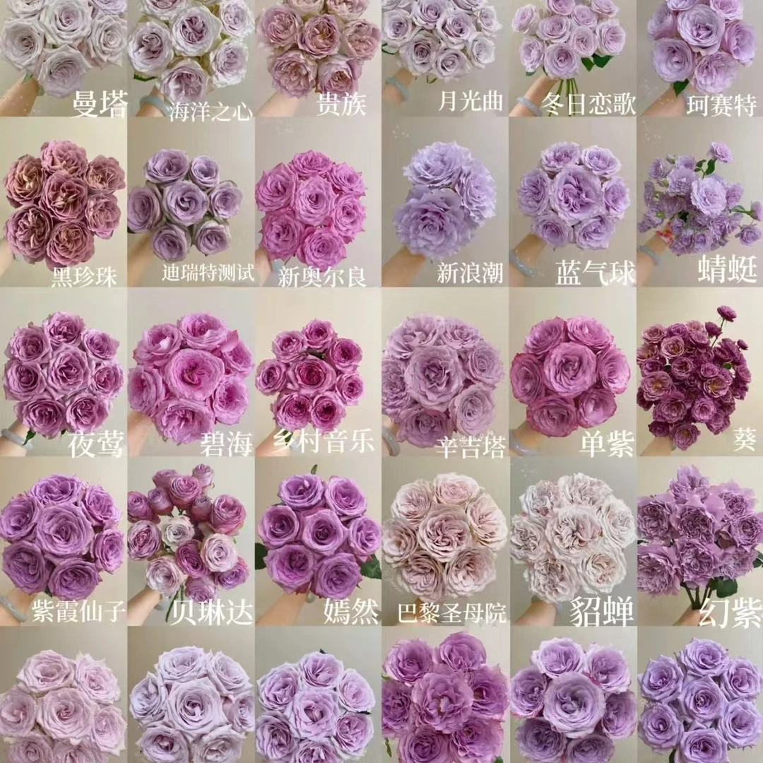 A7【小白兔+紫玫瑰+洛神+折射泡泡+蓝星花+洋桔梗+黄莺草】