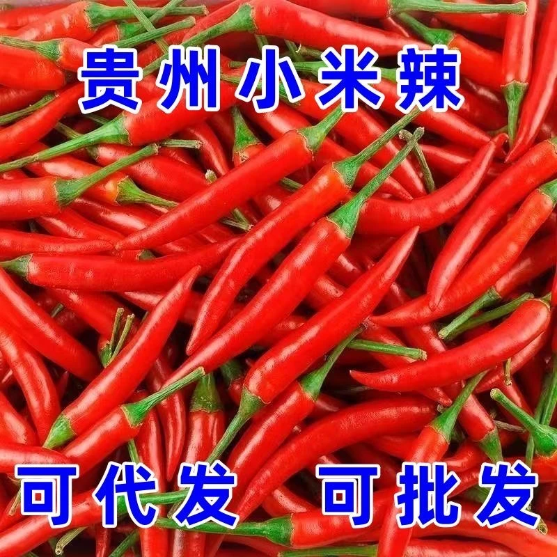 贵州小米辣新鲜现摘辣椒特辣朝天椒农业自种小尖椒0