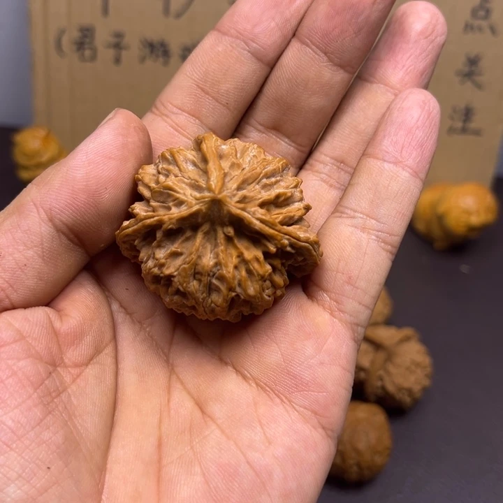 是***呀菩提籽类苹果园三棱丁