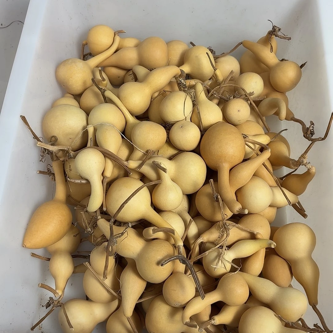 金***家本念放漏1.5一个80个