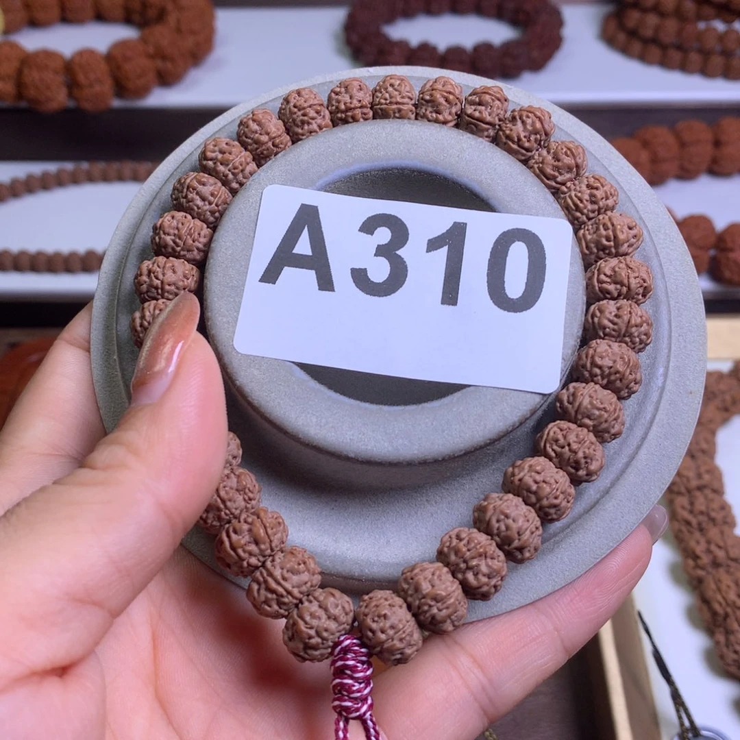 吊坠金刚菩提11尺寸树王6瓣