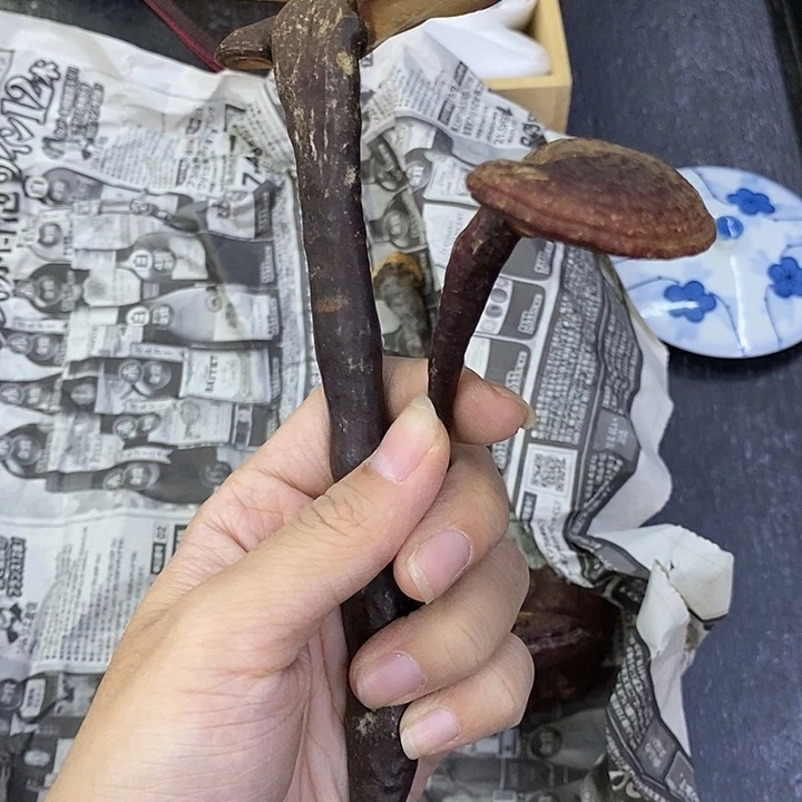 海外陶瓷茶具日化