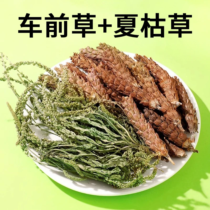 【邮政直播间】车前草+夏枯草当季新货煮水泡茶煮鸡蛋