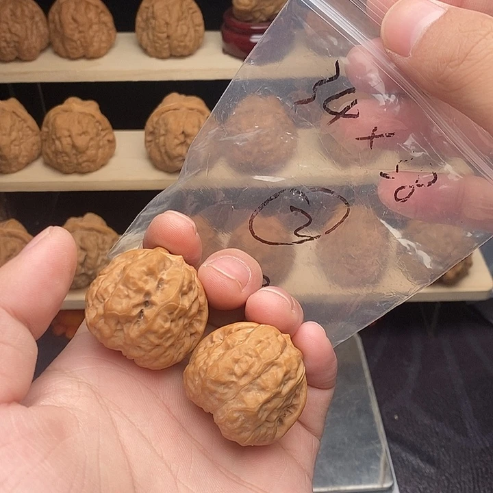 核桃蛤蟆34边38肚