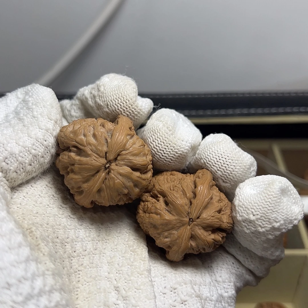 吊坠柏香籽/百香籽