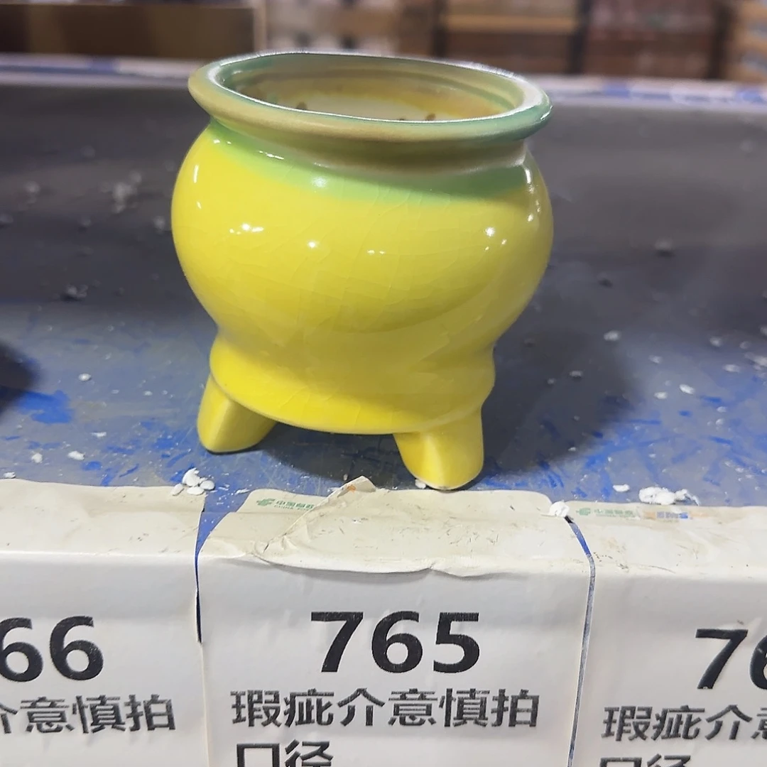 福利局绿植多肉盆［凑9元包邮24小时发］766