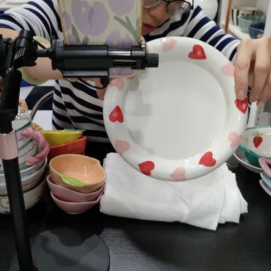 瓷高温瓷釉下彩菜盘