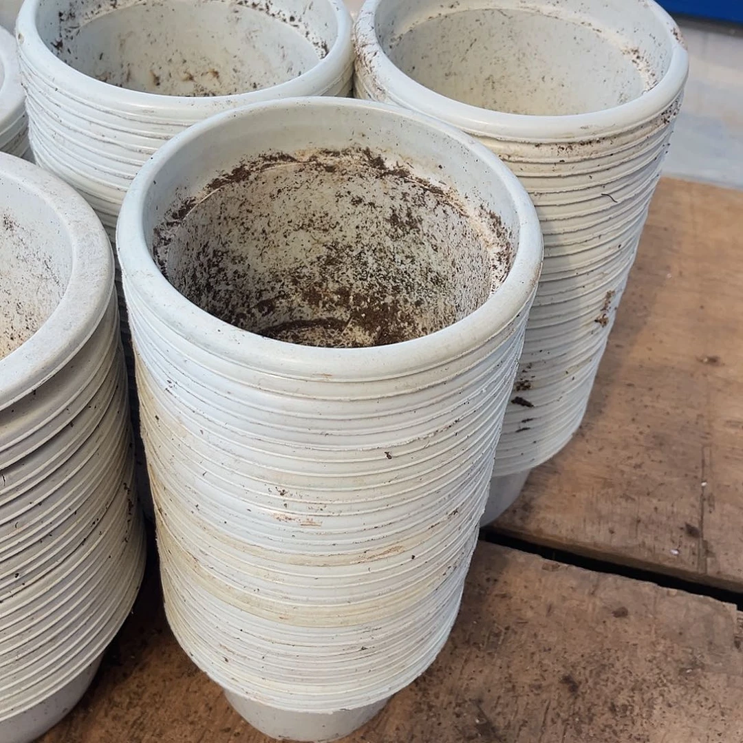 旧口径15高10白圆盆30个