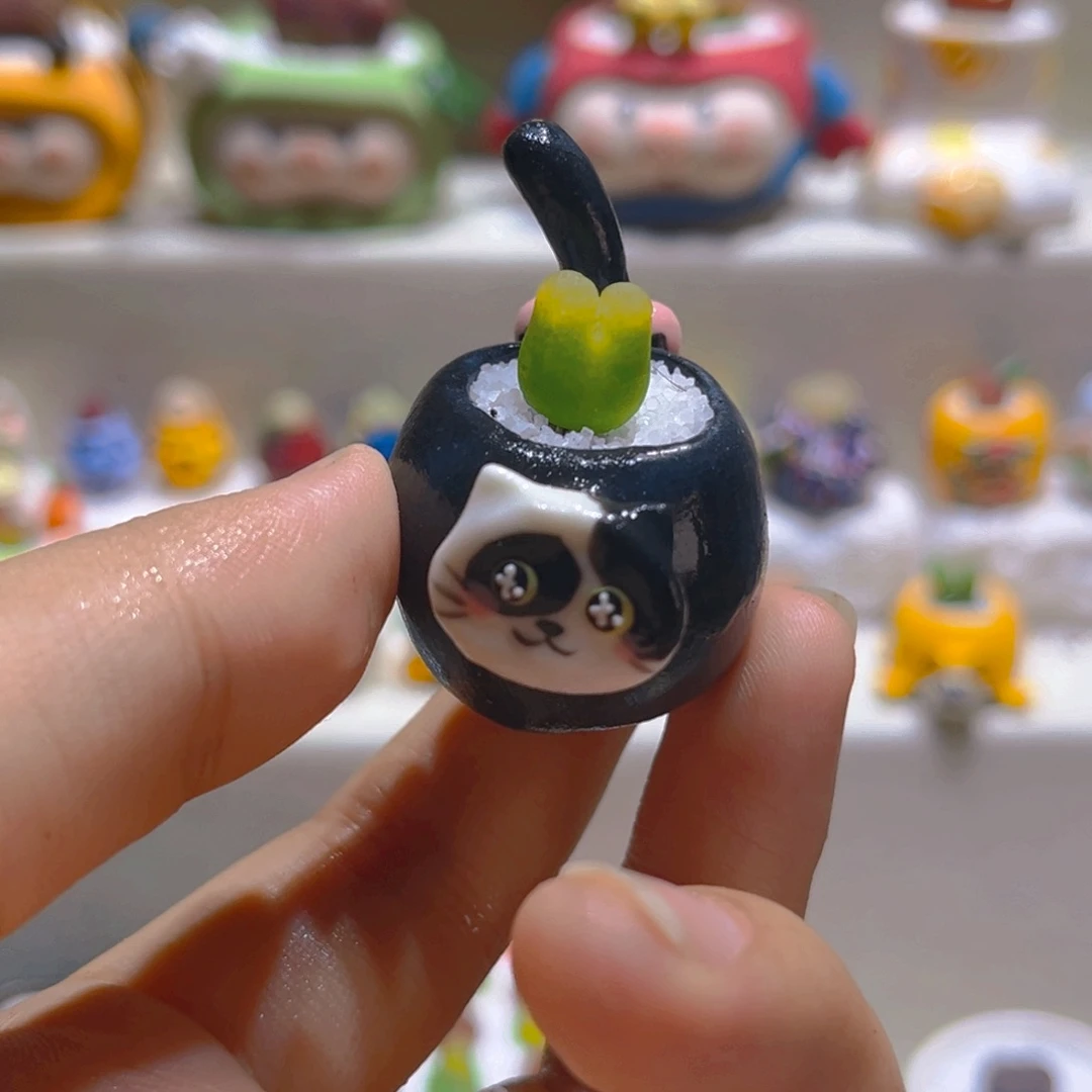 128高端多肉带盆带土迷你盆