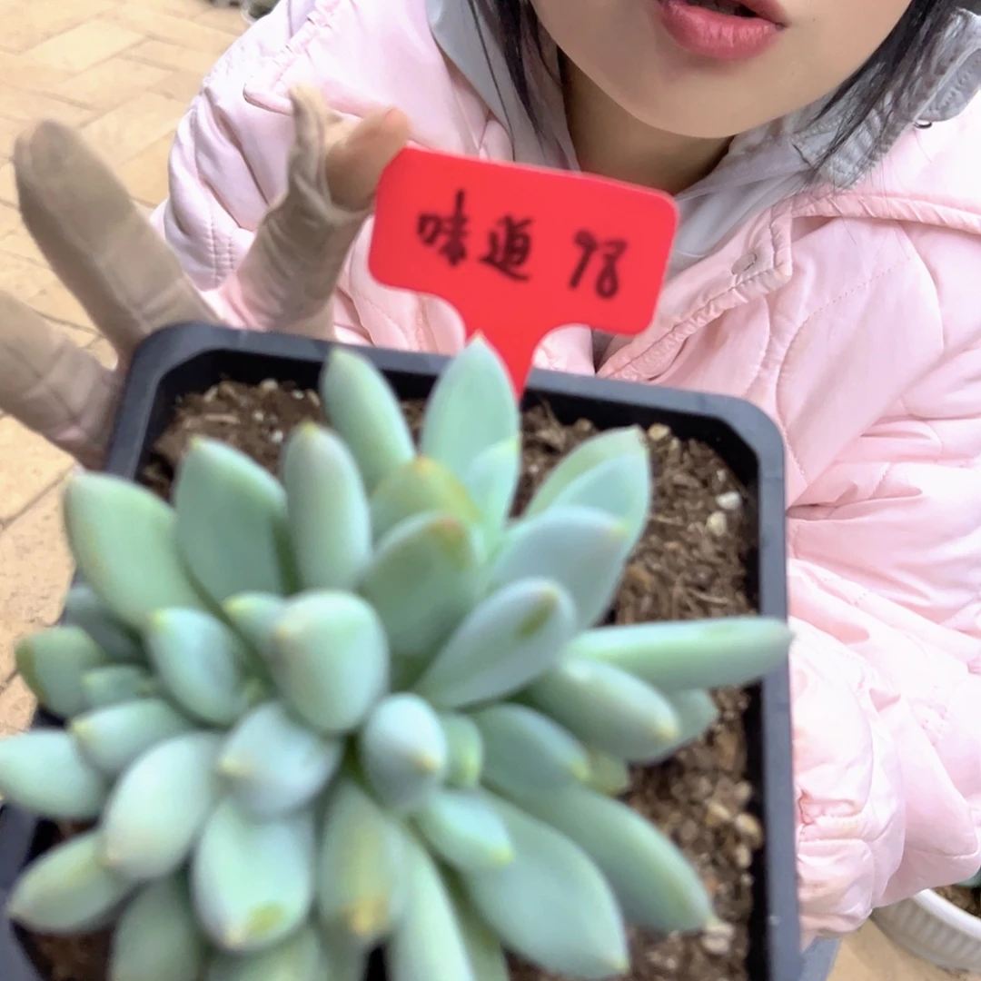 &***&我也没事啊这两位朋友都