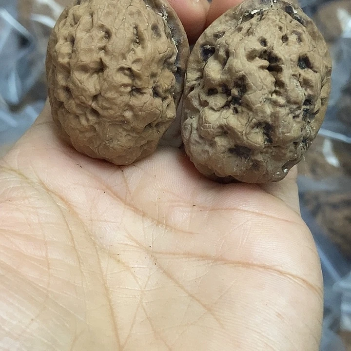 把件文玩核桃云南铁核桃基地76