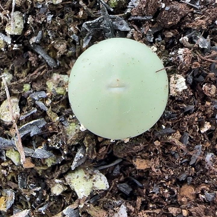 274v嘴福利福利福利433