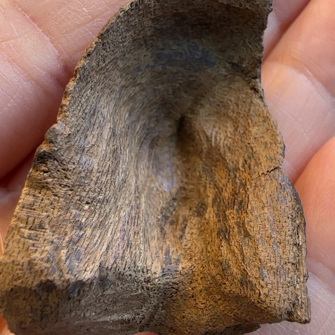 沉香摆件海南土沉水包头2.2克