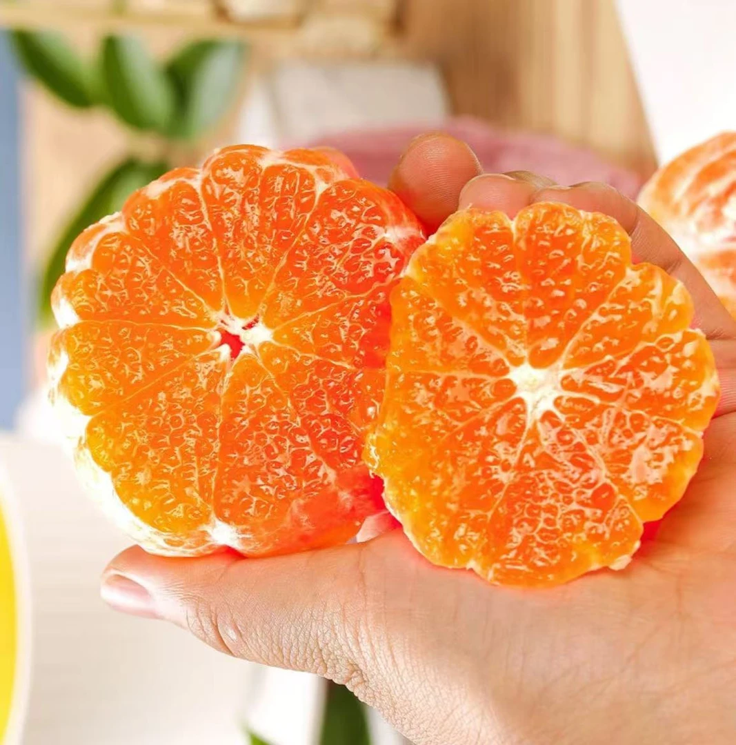 【湖南石门蜜橘】您的维C补给包顺丰包邮橘子