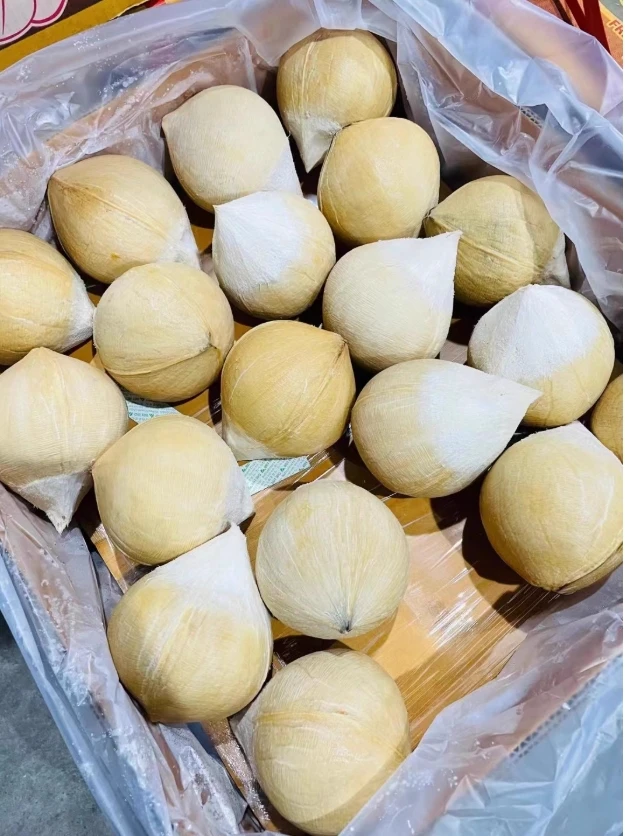 泰国椰皇 椰香浓郁 甘甜好饮