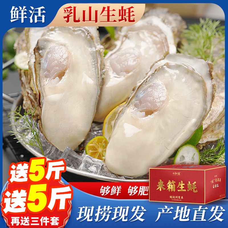 【阿宝专属】正宗乳山生蚝原产地新鲜5斤送5斤牡蛎精品级海蛎子