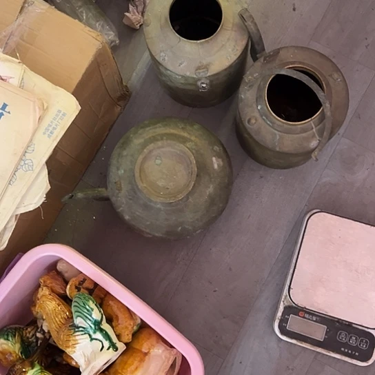 片***段杂色豆（科檀/科特迪瓦檀木）