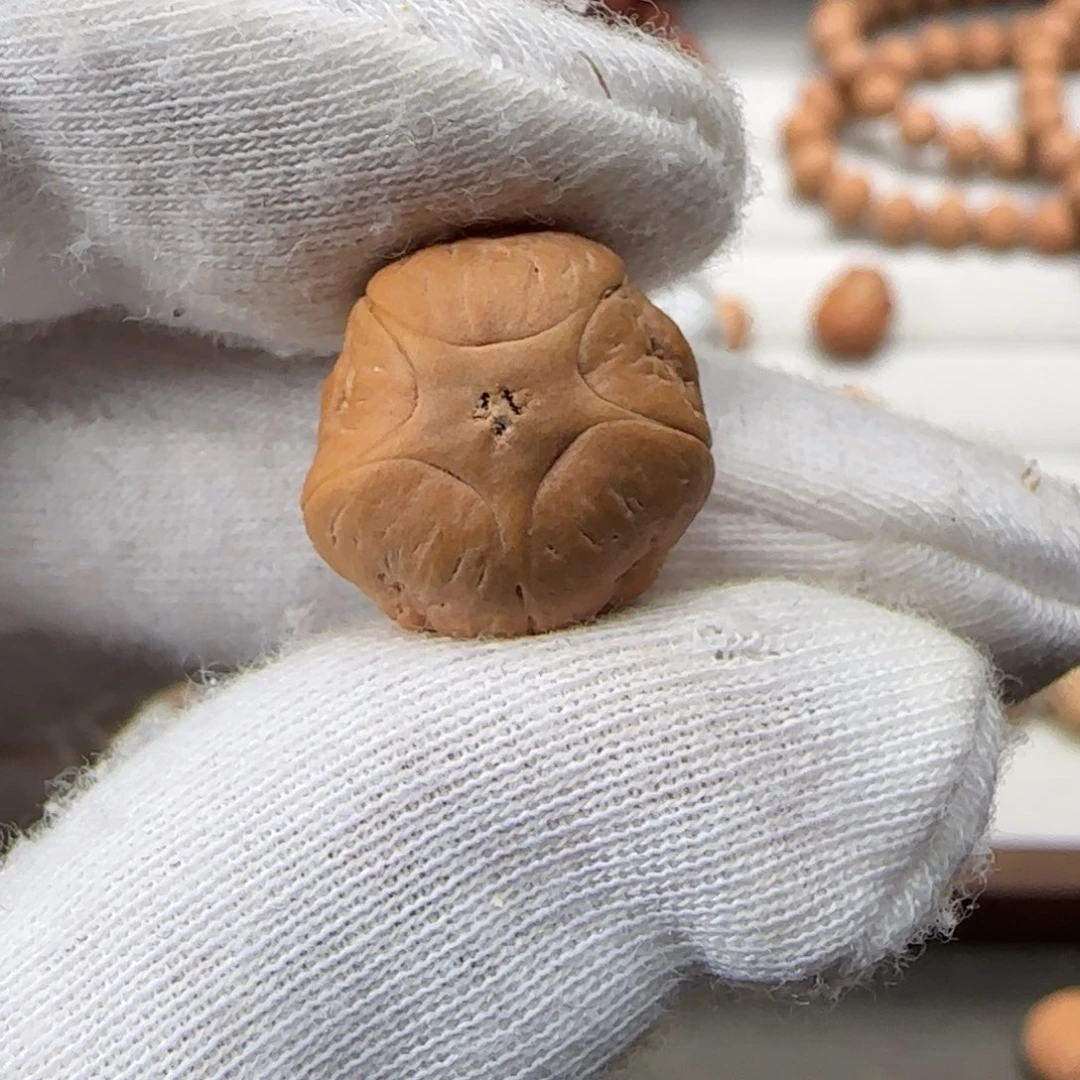 吊坠凤眼菩提凤眼菩提