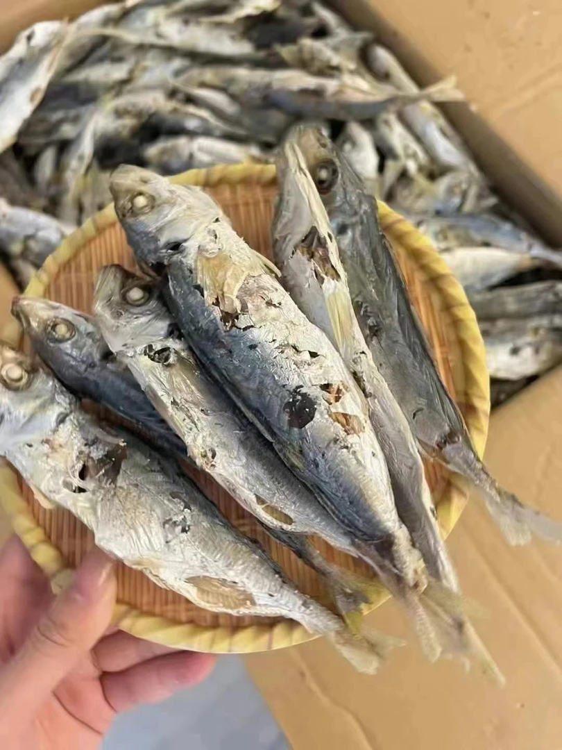 碣石本港巴浪鱼干自然晾晒肉质紧实可即食爆炒的海鲜干