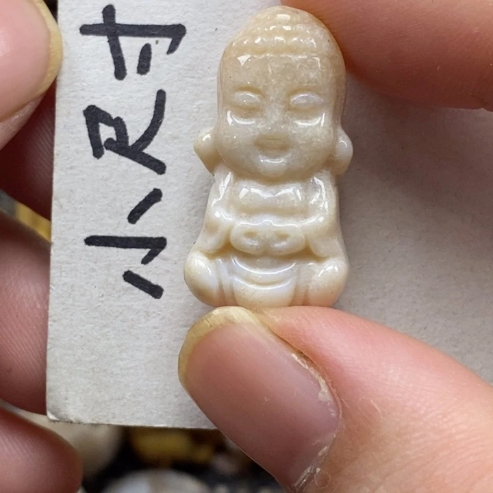 硅化珊瑚（珊瑚玉）未镶嵌颈饰