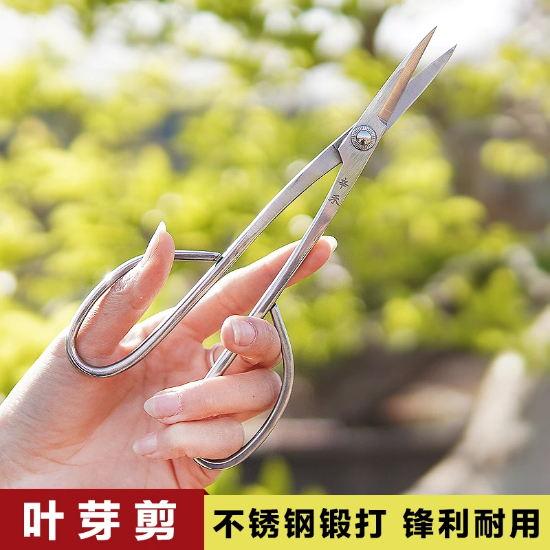 不锈钢叶芽剪盆景盆景造型修剪插花剪刀小枝叶芽剪小铝线剪子