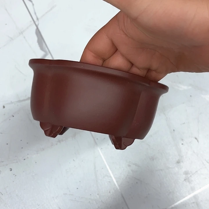 紫砂花盆紫砂的花开了吗我