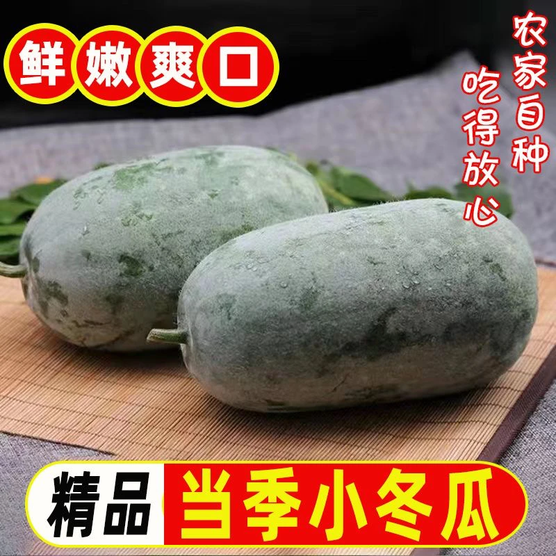 河南特产小冬瓜迷你水果冬瓜农家自种应季新鲜蔬菜