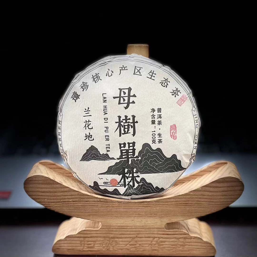【61】276号胡基香2024年兰花地母树单株100克饼茶#3.5#【5+1】