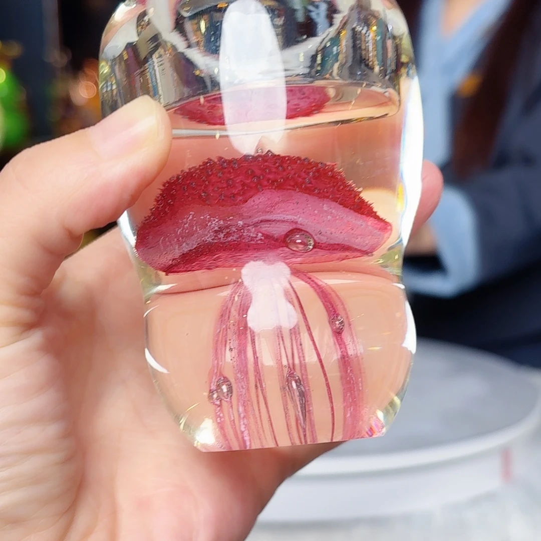 茶宠琉璃岛之光啊太