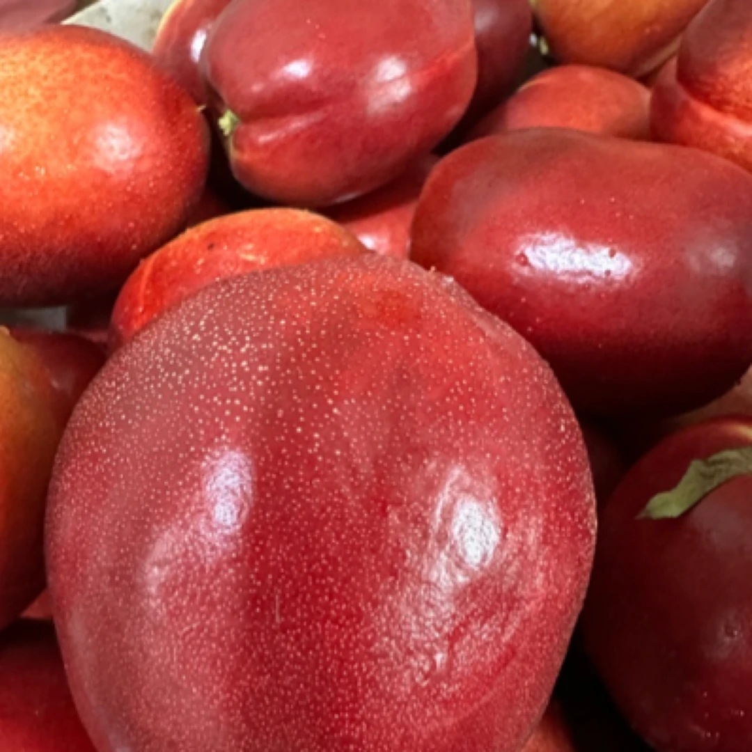 辽宁产地直发新鲜黄心油桃脆甜可口当季水果