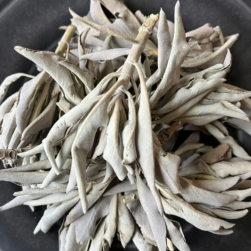 整叶white sage白鼠尾草脱水叶尖家用冥想500g包烟熏空间清理消磁