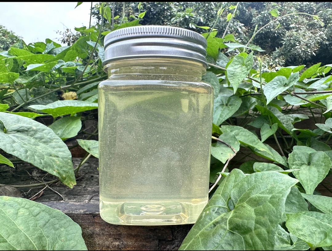 农家自产纯正天然水白纯洋槐蜜槐花蜜无添加原蜜自产自销
