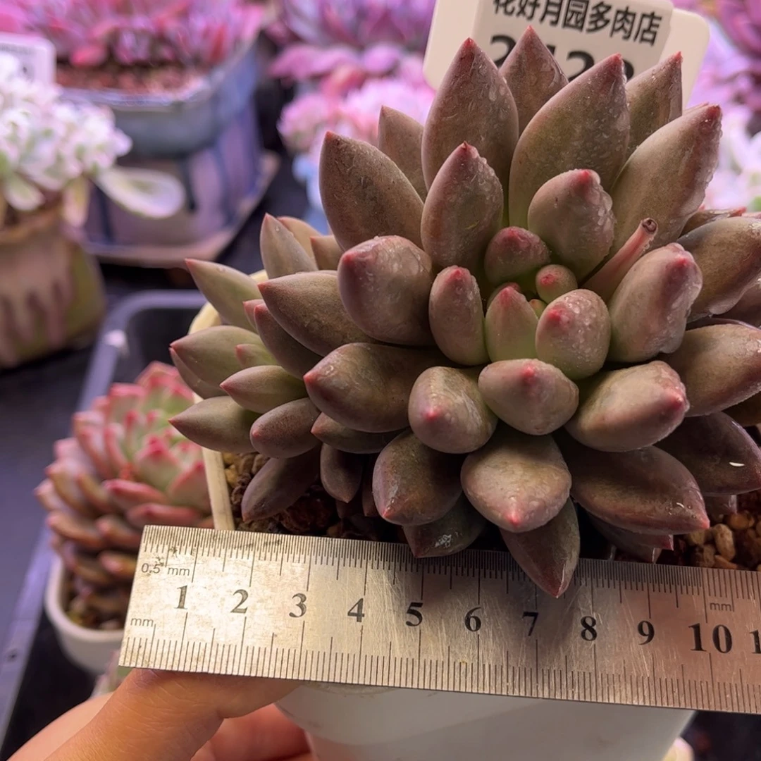 2428 满30包邮天冷地区必拍保温箱