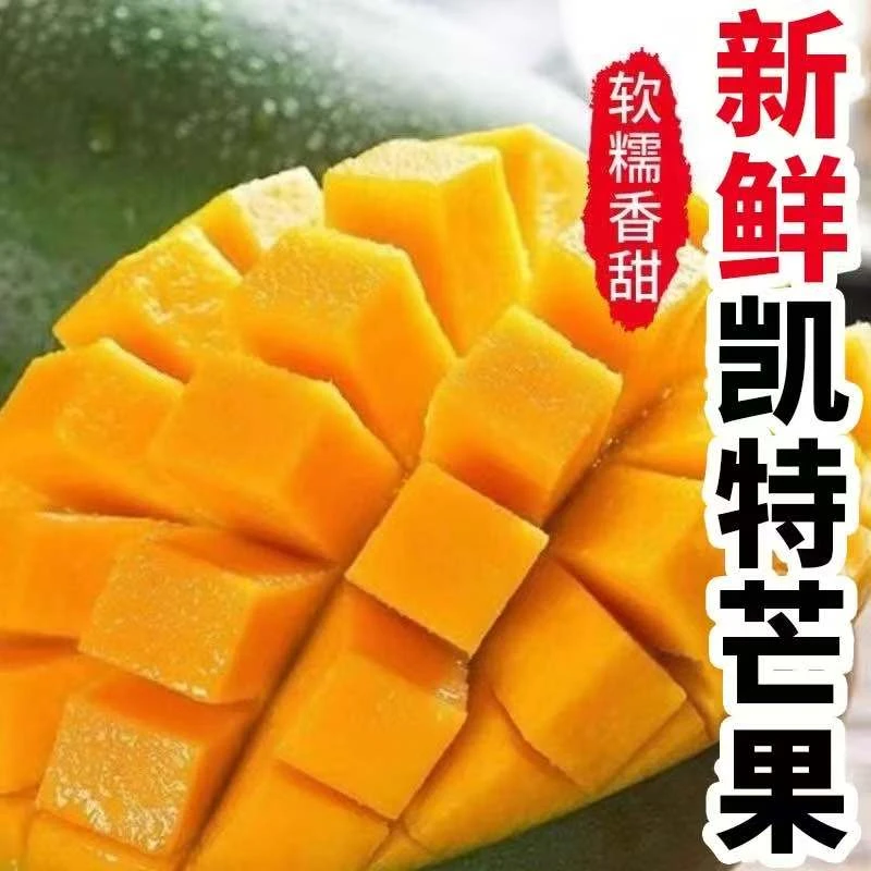 正宗攀枝花凯特芒果（催熟再吃）产地直发现摘净重4.5斤带箱5斤