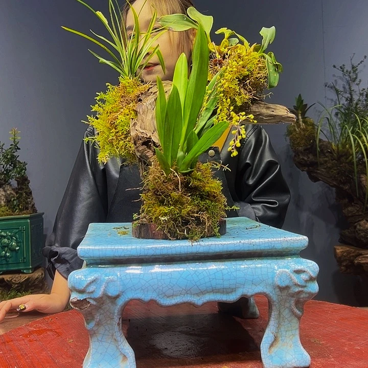 慢***光完全开放11111111111