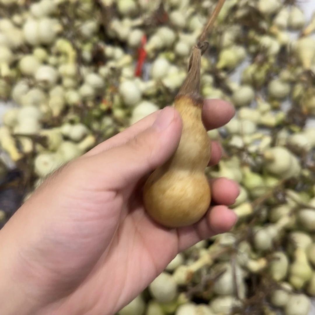 闲****葫芦ejdjdiansanansnansn