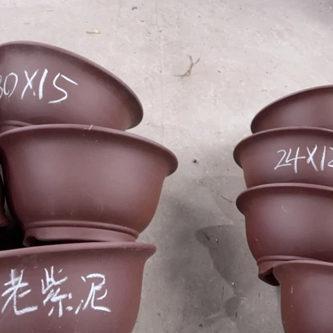 100-6。       组合