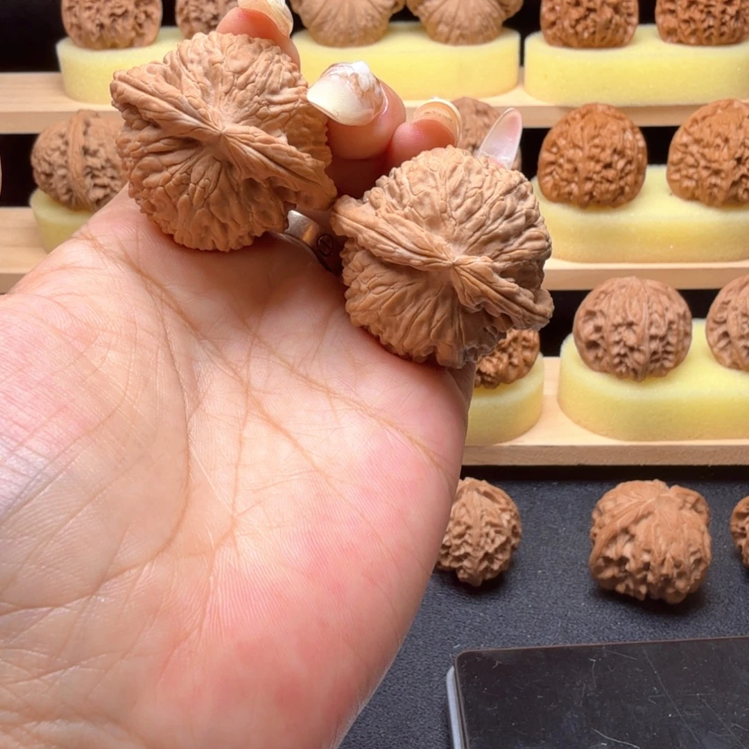 核桃白狮子40尺004