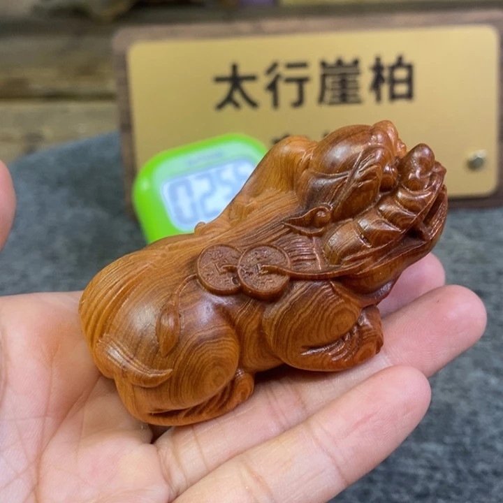 柏木（崖柏）崖柏11111